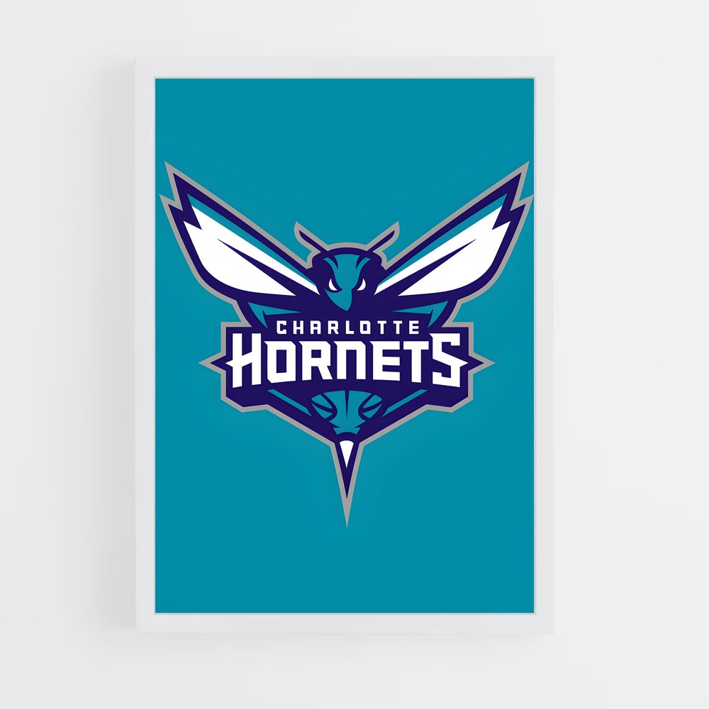 Poster Charlotte's Vibe – affiche Basketball (vue 3)